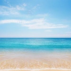 Meet your Posher, Sabrina